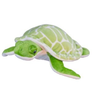 Tj’s Teddies Shelldon The Turtle 16″